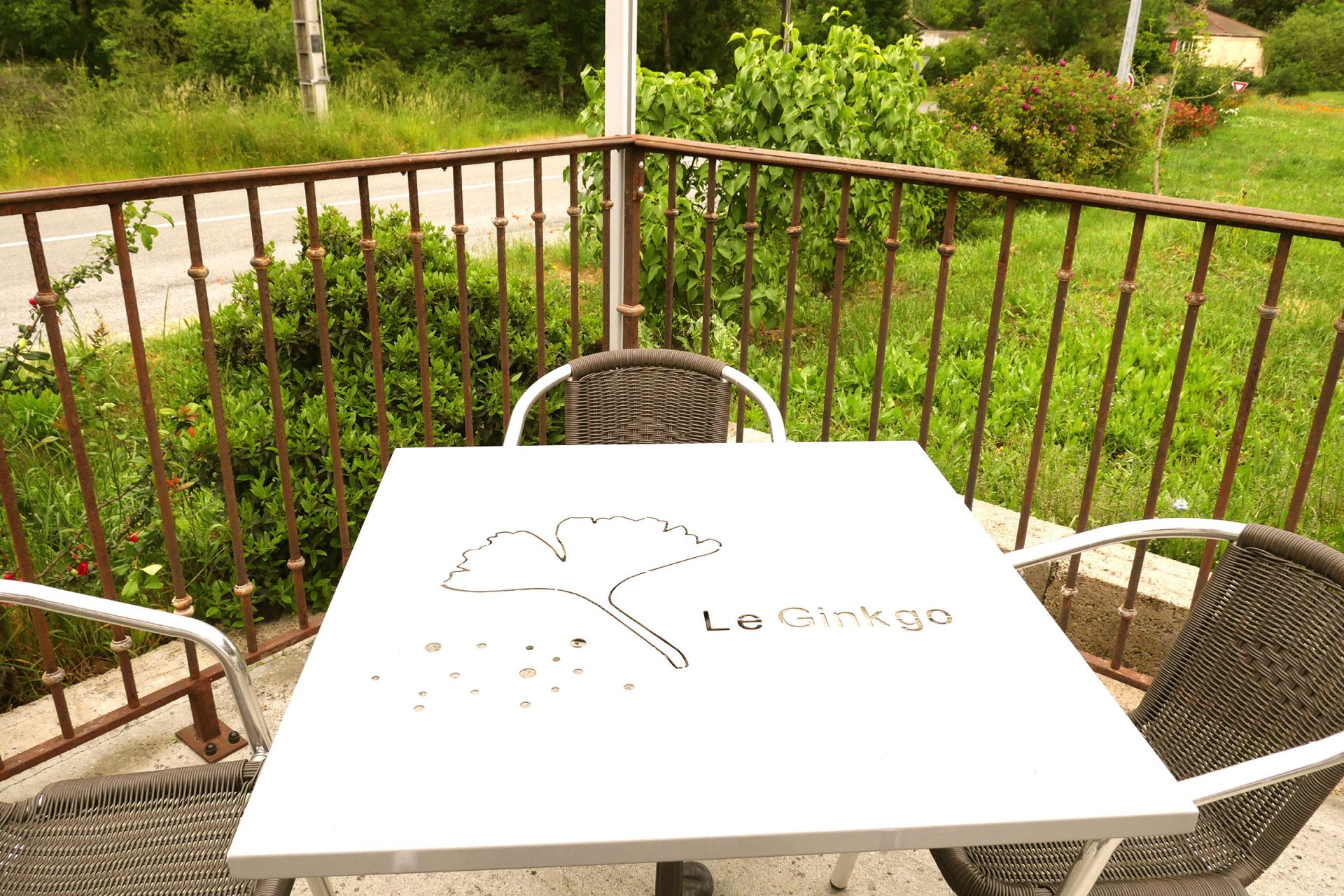 Table d'extérieur du Ginkgo