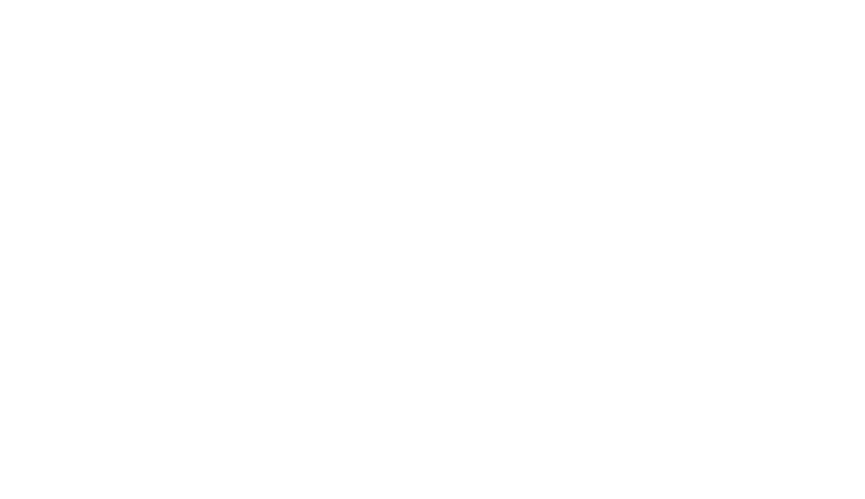Le Ginkgo