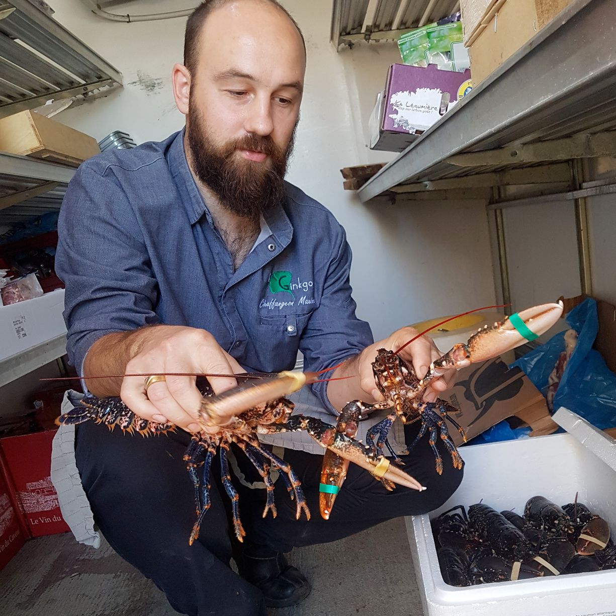 Maxime avec des homards bleu breton